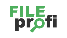 FileProfi - профессиональное восстановление данных в Белгороде